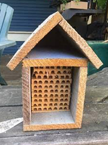 Mason Bee House